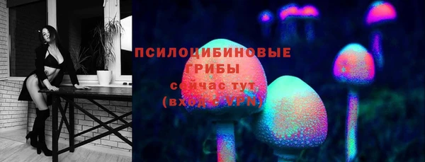 сатива Саяногорск