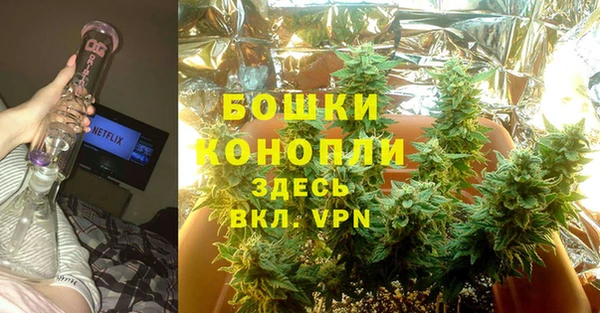 сатива Саяногорск