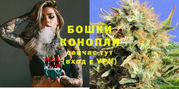 сатива Саяногорск