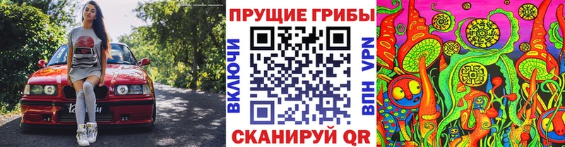 Псилоцибиновые грибы GOLDEN TEACHER  Купить  Лабытнанги 
